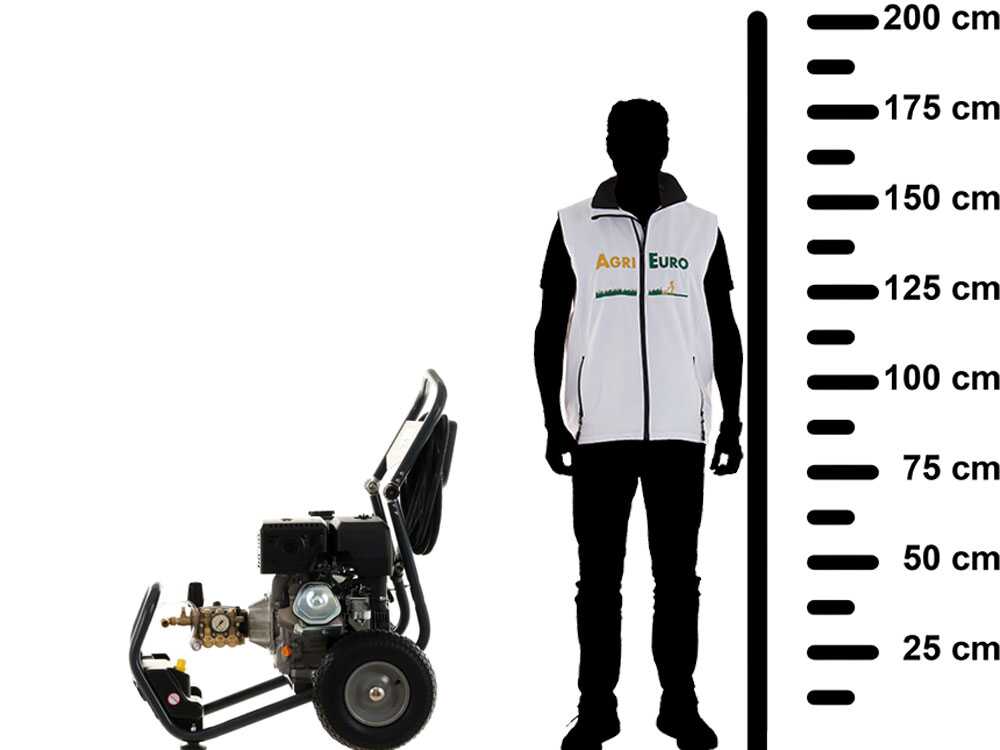 nettoyeur haute pression thermique lavor thermic 2w 13l moteur loncin g390f 13 hp 310 bars Nettoyeur haute pression thermique Lavor Thermic 2W 13L - Moteur Loncin G390F- 13 HP - 310 Bars